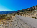 Eagle Ridge Road Genoa NV-print-032-34-DSC9350-2500x1668-300dpi