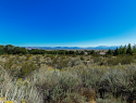 Eagle Ridge Road Genoa NV-print-017-21-DSC9335-2500x1668-300dpi