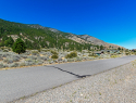 Eagle Ridge Road Genoa NV-print-021-26-DSC9339-2500x1668-300dpi